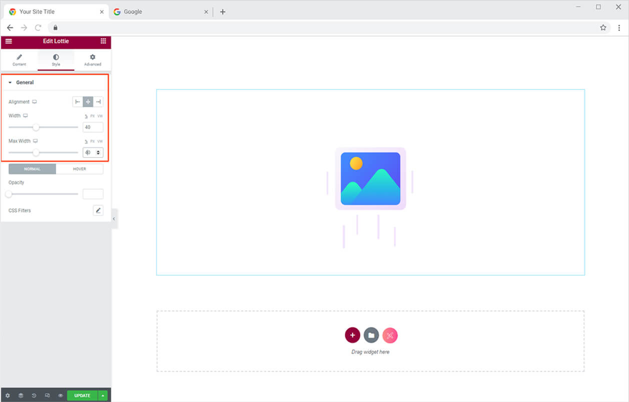 customization options for lottie file animation widget for elementor